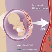 Sì al test del DNA fetale gratuito alle valdostane in stato di gravidanza