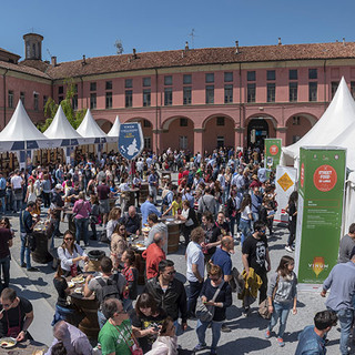 La viticoltura valdostana in vetrina a 'Vinum Alba' dal 29 aprile all'1 maggio