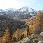 E' realtà il progetto DAHU per il recupero culturale e scientifico del Vallone di San Grato