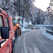 Alberi sulla carreggiata, intervento di Vigili del fuoco e Anas sulla statale 26